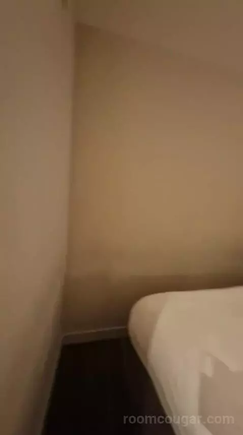 King City Suite bed picture #9
