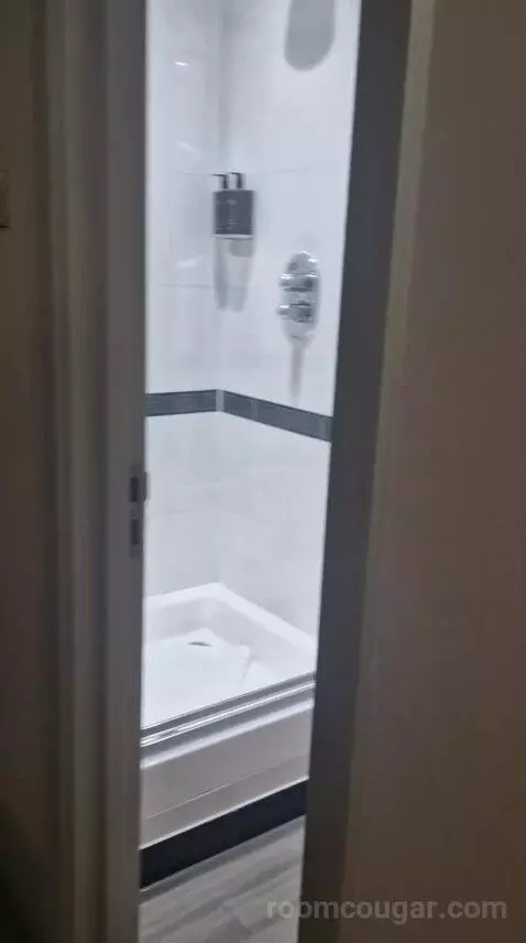 Executive King Room bathroom picture #2