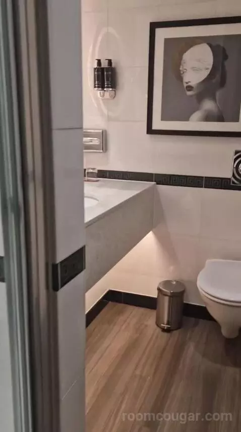 Executive King Room bathroom picture #8