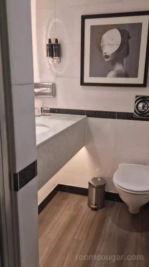 Executive King Room bathroom picture #9