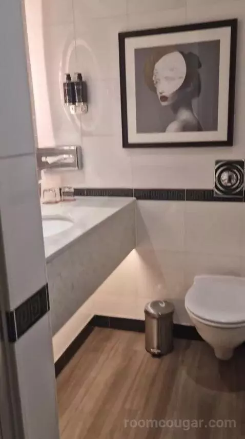 Executive King Room bathroom picture #10