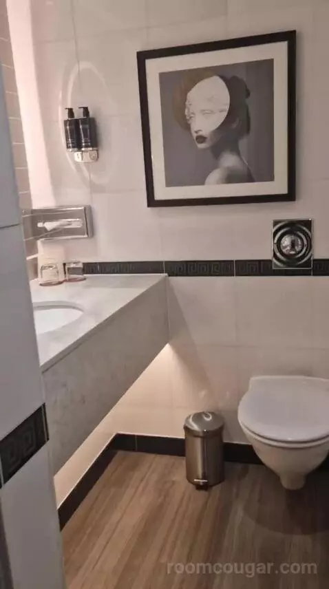 Executive King Room bathroom picture #11