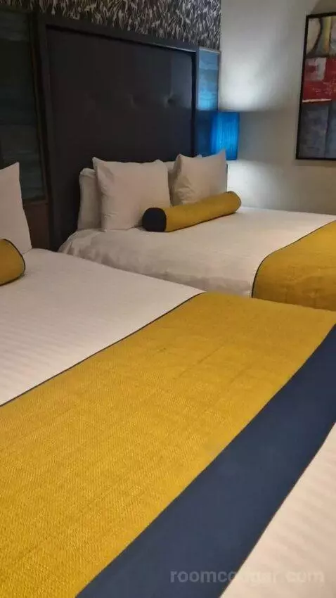 Superior Queen Room with Two Queen Beds picture #19