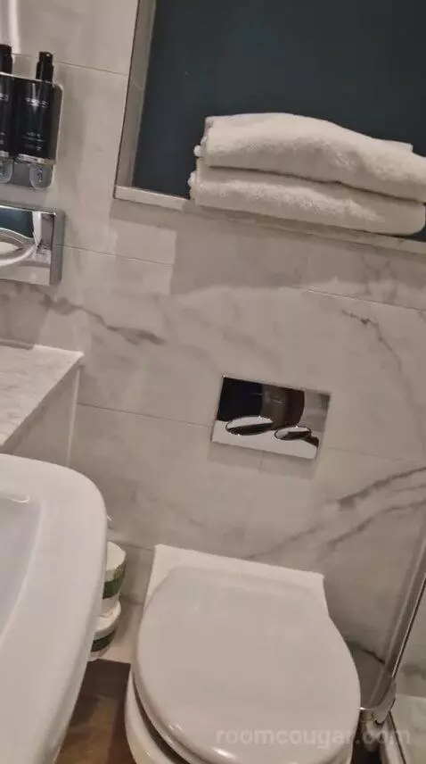 Superior Queen Room with Two Queen Beds bathroom picture #8
