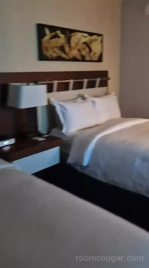 One-Bedroom Luxury King Suite with Sofa Bed bed picture #9