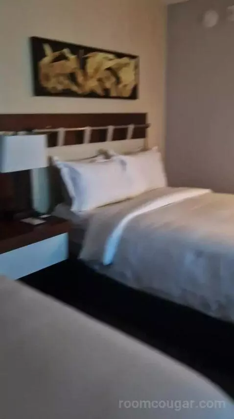 One-Bedroom Luxury King Suite with Sofa Bed bed picture #10