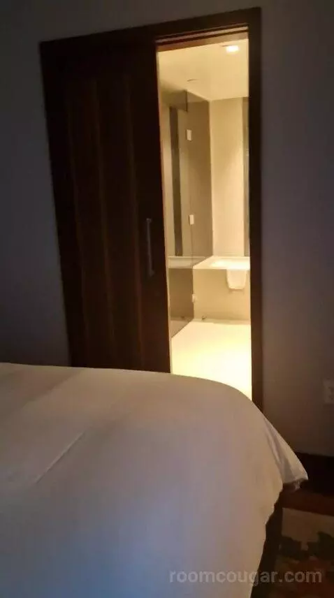One-Bedroom Luxury King Suite with Sofa Bed bed picture #12