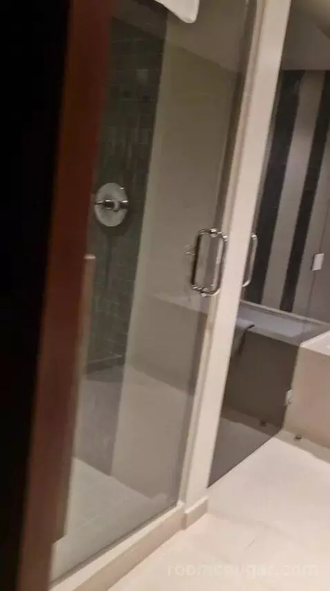 One-Bedroom Luxury King Suite with Sofa Bed bathroom picture #1