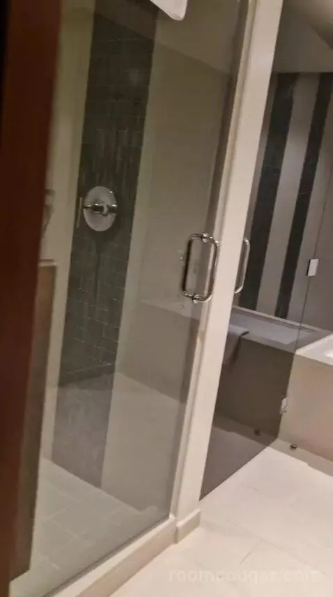 One-Bedroom Luxury King Suite with Sofa Bed bathroom picture #2