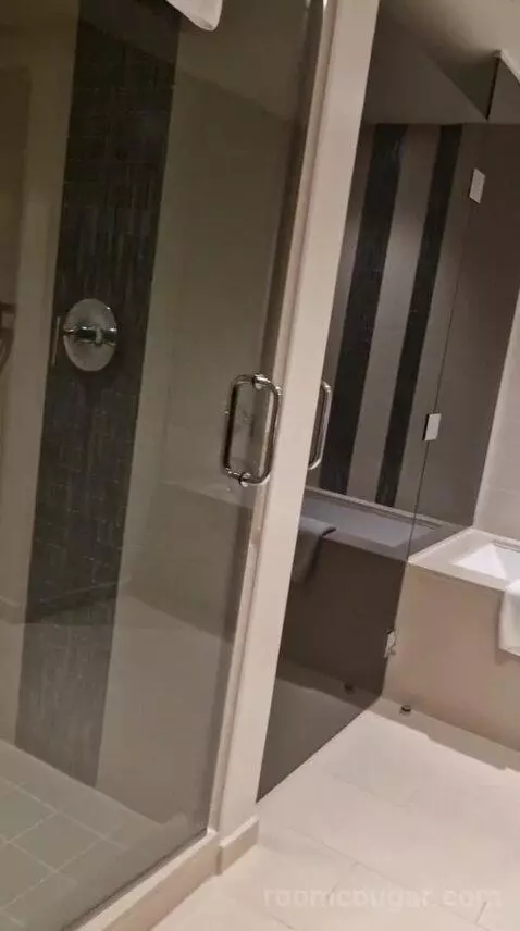 One-Bedroom Luxury King Suite with Sofa Bed bathroom picture #4