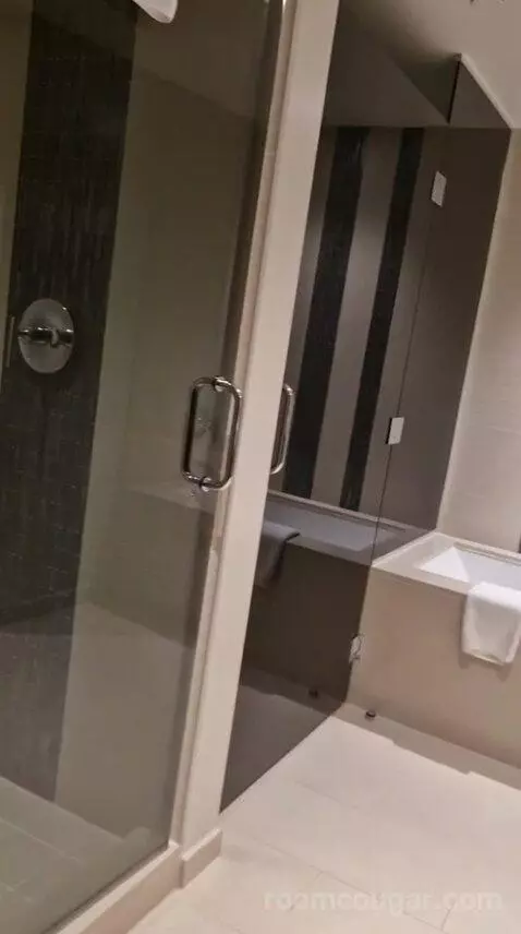 One-Bedroom Luxury King Suite with Sofa Bed bathroom picture #5