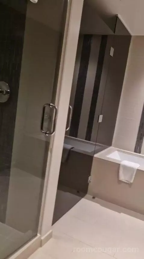 One-Bedroom Luxury King Suite with Sofa Bed bathroom picture #6