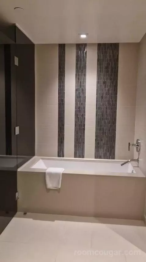 One-Bedroom Luxury King Suite with Sofa Bed bathroom picture #7