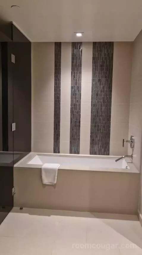 One-Bedroom Luxury King Suite with Sofa Bed bathroom picture #8