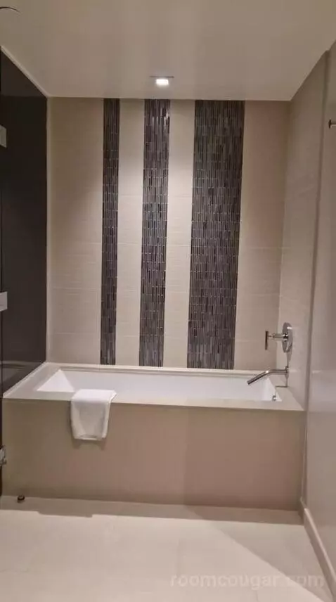 One-Bedroom Luxury King Suite with Sofa Bed bathroom picture #10