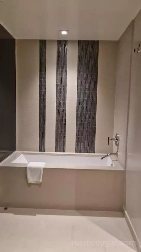 One-Bedroom Luxury King Suite with Sofa Bed bathroom picture #11