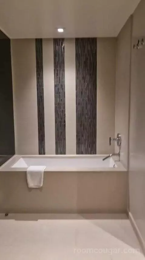 One-Bedroom Luxury King Suite with Sofa Bed bathroom picture #12