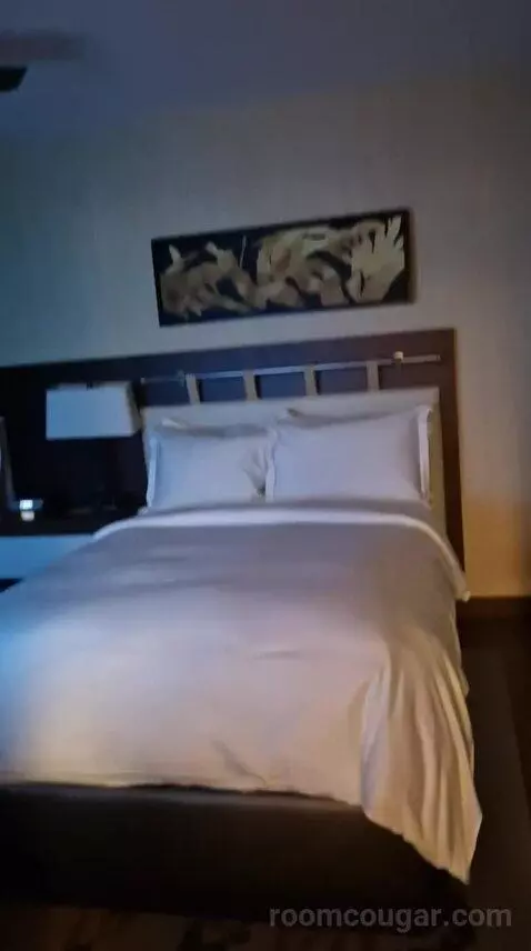 One-Bedroom Luxury King Suite with Sofa Bed bed picture #1
