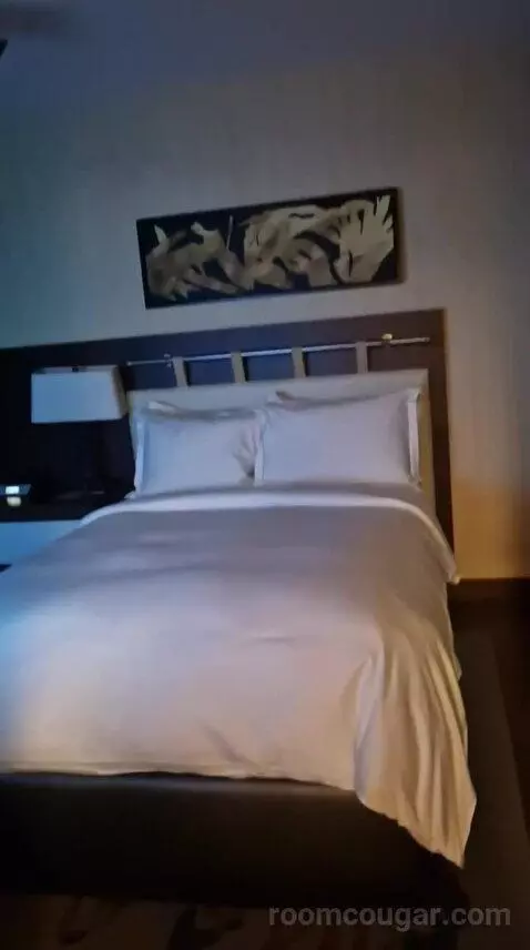 One-Bedroom Luxury King Suite with Sofa Bed bed picture #2