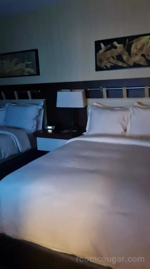 One-Bedroom Luxury King Suite with Sofa Bed bed picture #3