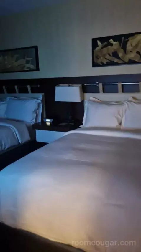 One-Bedroom Luxury King Suite with Sofa Bed bed picture #4