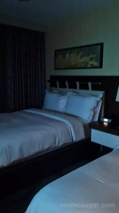 One-Bedroom Luxury King Suite with Sofa Bed bed picture #5