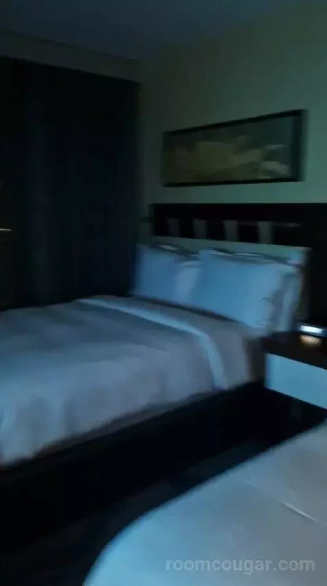 One-Bedroom Luxury King Suite with Sofa Bed bed picture #6