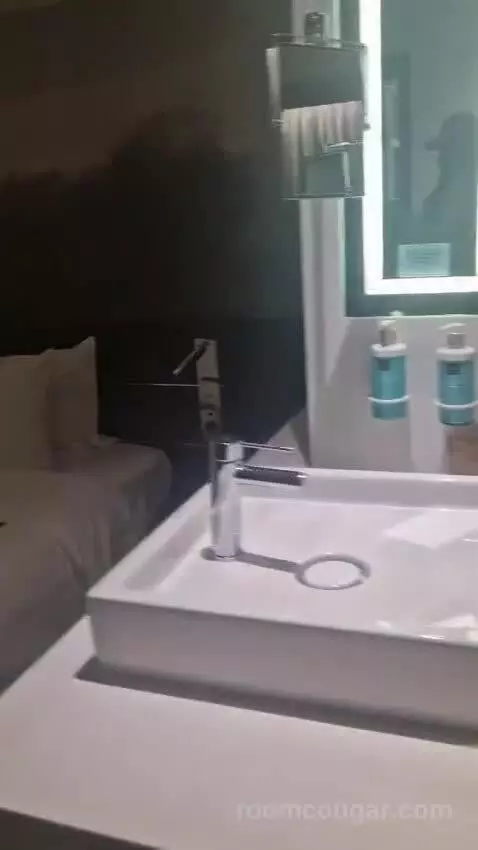 Executive Queen Room with Sofa Bed bathroom picture #3