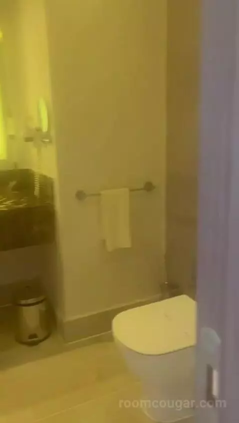 Deluxe Double Pool View bathroom picture #3
