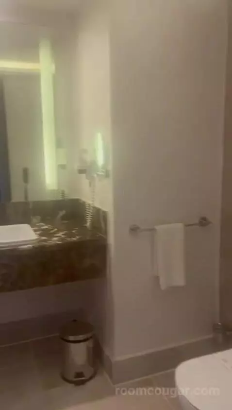 Deluxe Double Pool View bathroom picture #7