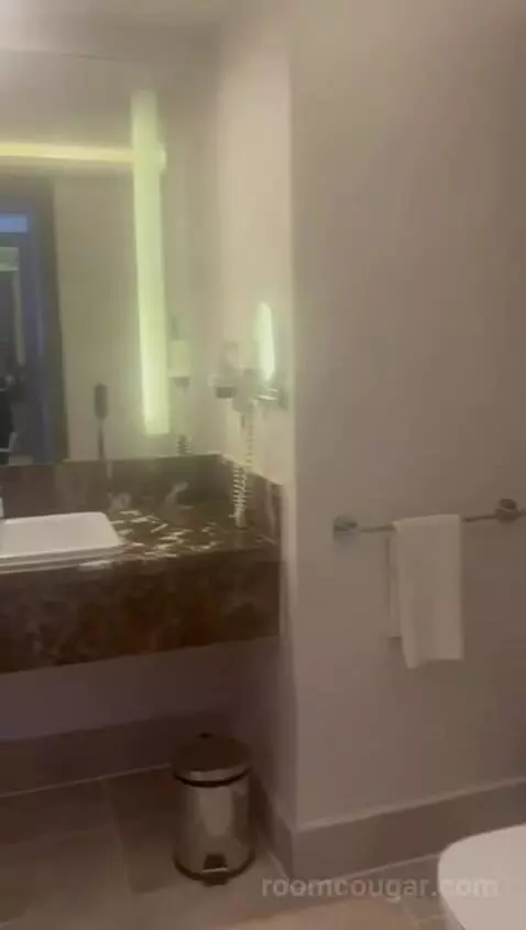 Deluxe Double Pool View bathroom picture #8
