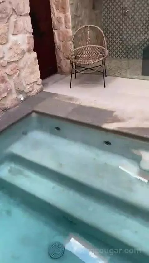 Suite with Private Pool bathroom picture #8