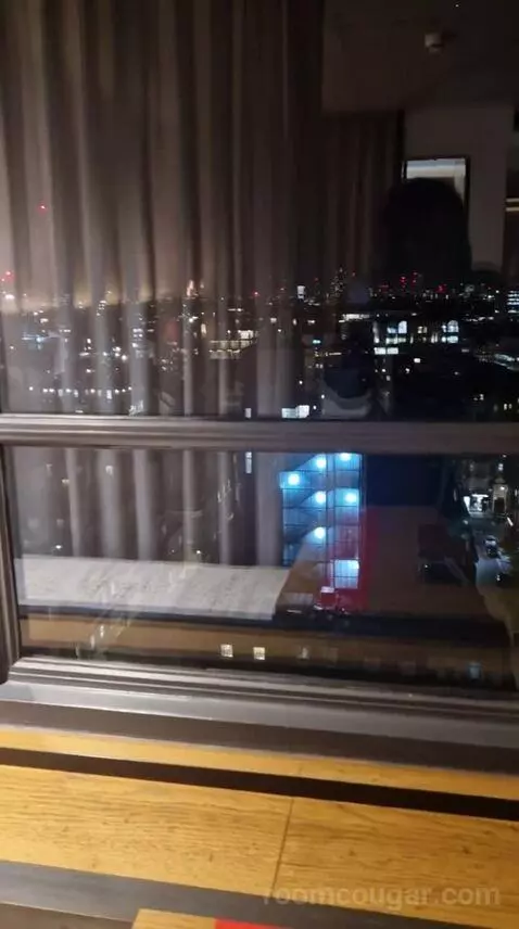 Skyline Queen view picture #1