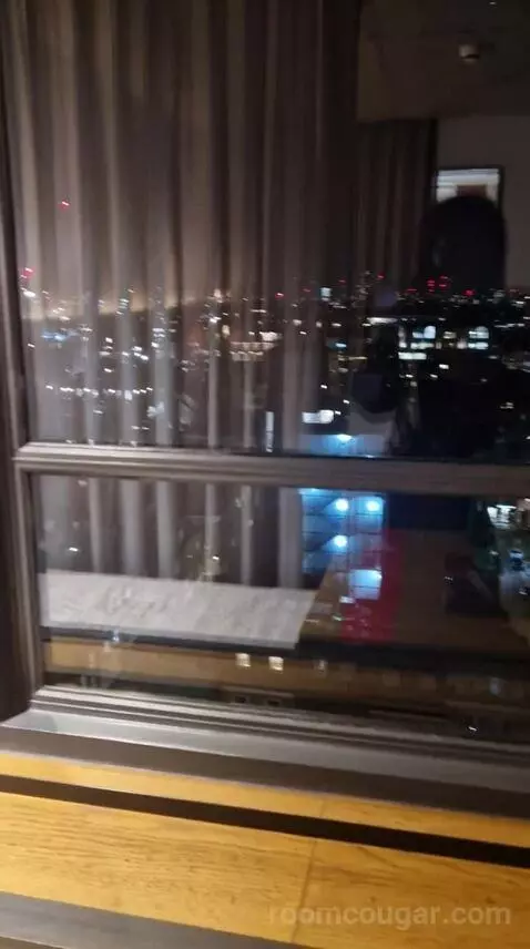 Skyline Queen view picture #5
