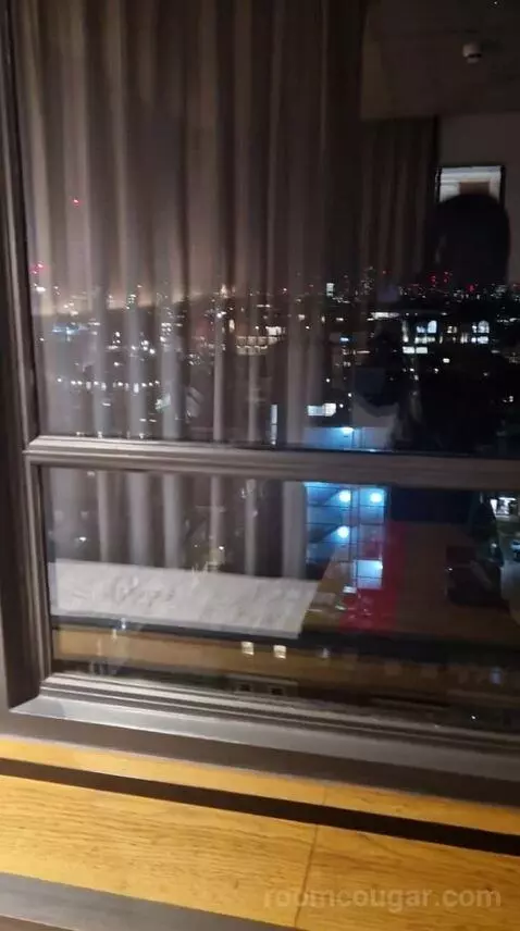 Skyline Queen view picture #6