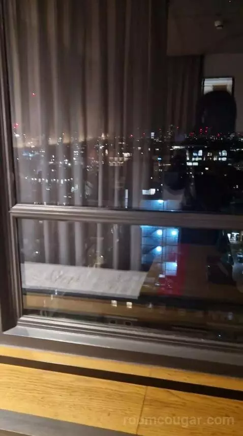 Skyline Queen view picture #7