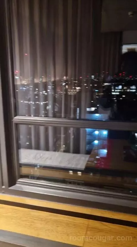 Skyline Queen view picture #8