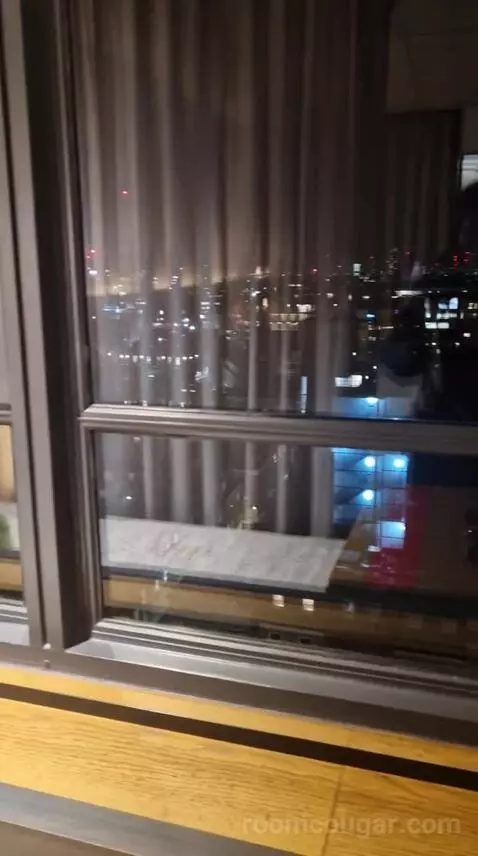 Skyline Queen view picture #9