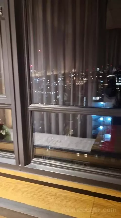 Skyline Queen view picture #10