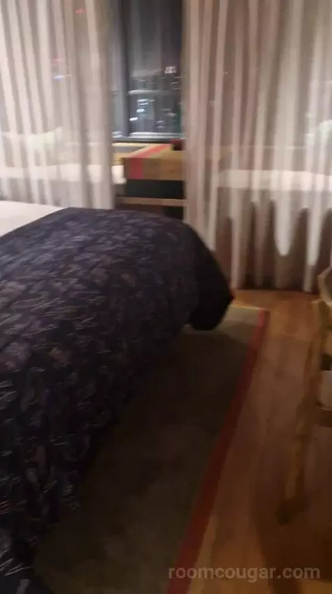 Skyline Queen bed picture #2