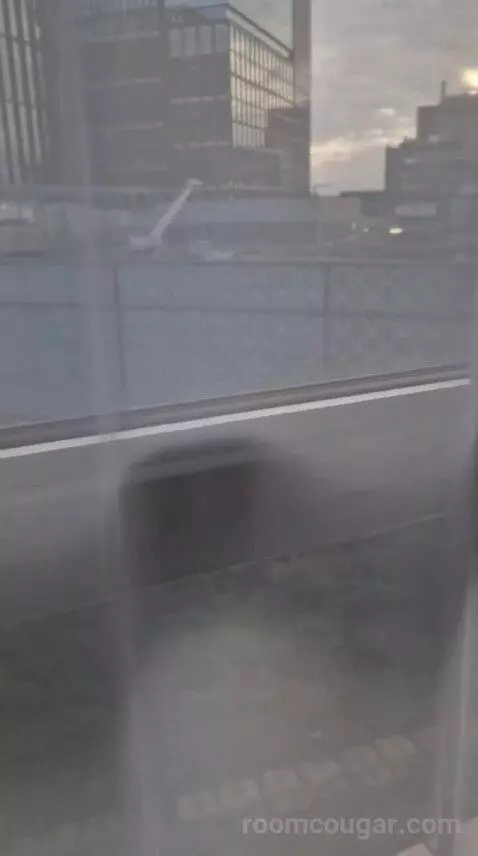 Standard view picture #9