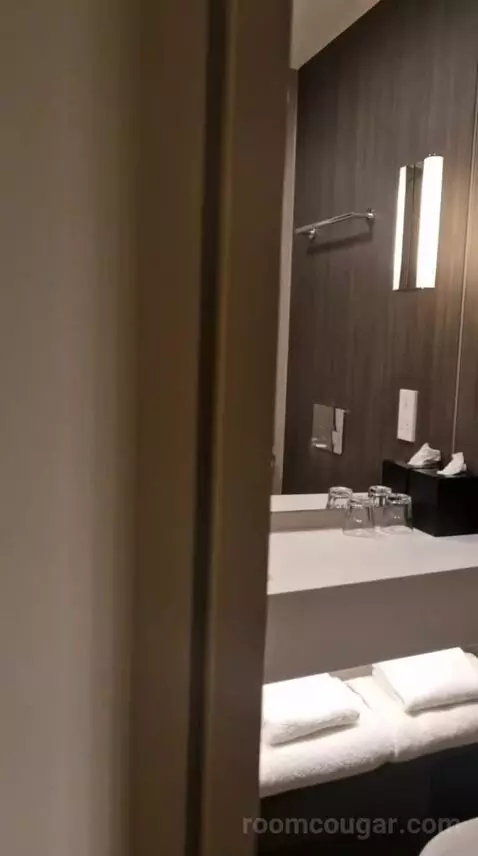 Moxy Sleeper, Guest Room, 1 Queen bathroom picture #1