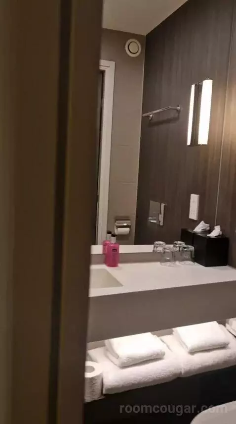 Moxy Sleeper, Guest Room, 1 Queen bathroom picture #2