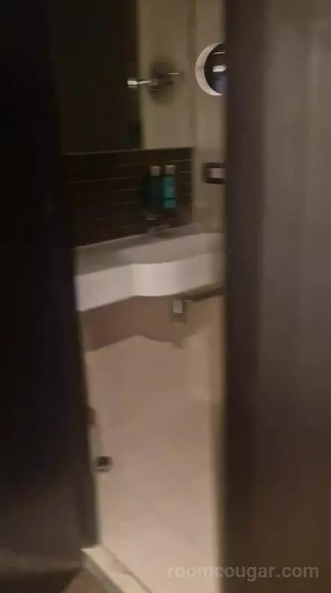 Standard Double Room bathroom picture #2