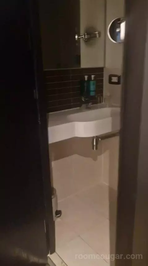 Standard Double Room bathroom picture #4