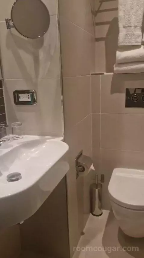Standard Double Room bathroom picture #7