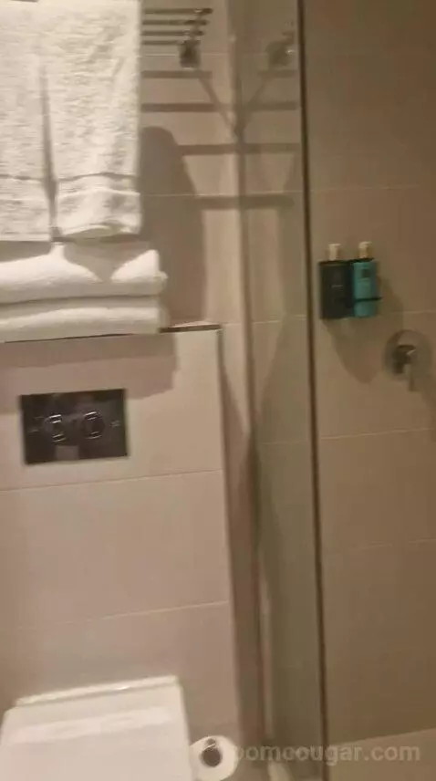 Standard Double Room bathroom picture #9