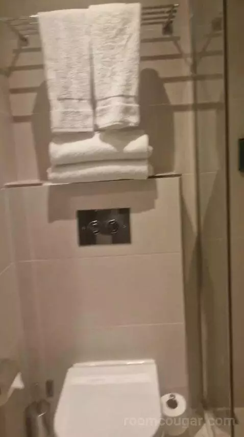 Standard Double Room bathroom picture #10