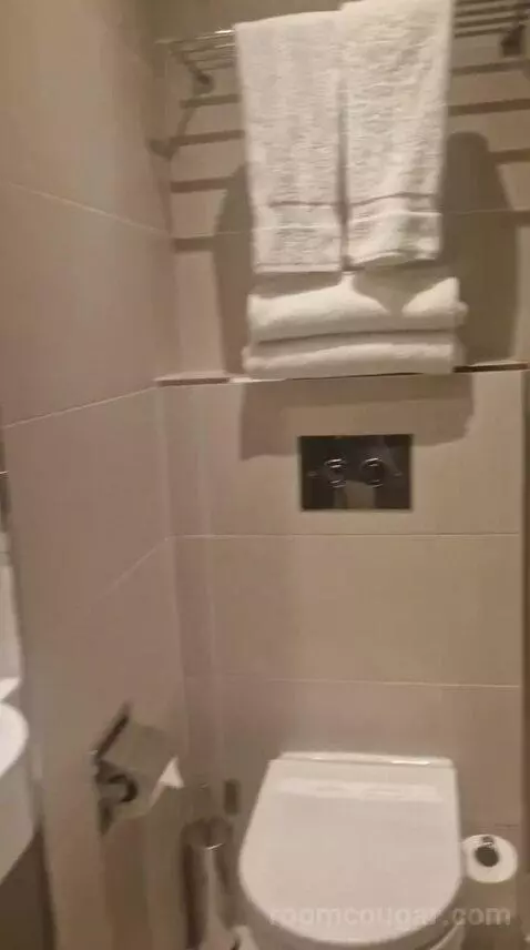 Standard Double Room bathroom picture #11