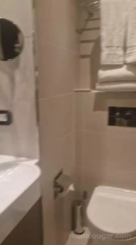 Standard Double Room bathroom picture #12